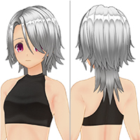 パンクヴィジュアルヘアセット