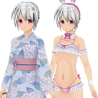 カスタムオーダーメイド3D2 コスチュームセット Vol.73『ノーマル』