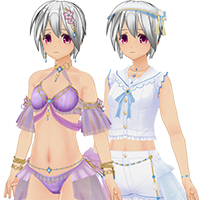カスタムオーダーメイド3D2 コスチュームセット『みんな大好き水着とアイドルセット』 Vol.85『ノーマル』