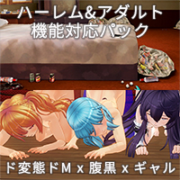 カスタムオーダーメイド3D2 EXメイドトリオ『ド変態ドM x 腹黒 x ギャル』ハーレム&アダルト機能対応パック Ver.背景同梱版