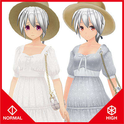 サマートラベルワンピースセット『ノーマル＆ハイポリ』