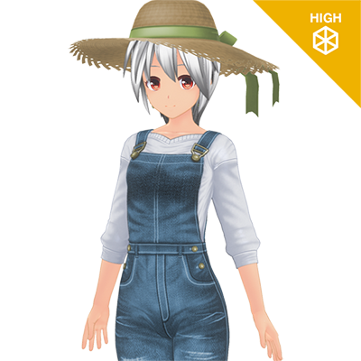 カントリーオーバーオールセット『ハイポリ』