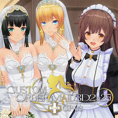 CUSTOM OREDER MAID 3D2&2.5 GP-03