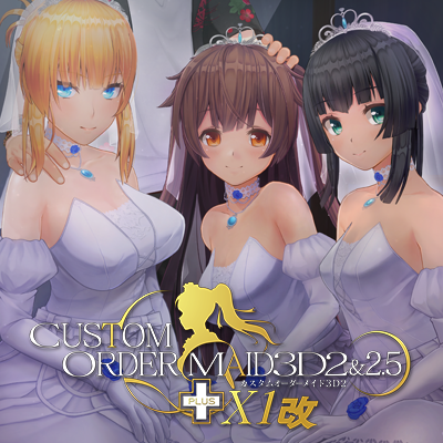 カスタムオーダーメイド3D2&2.5+ X1改