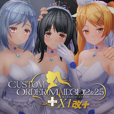 カスタムオーダーメイド3D2&2.5+ X1改+